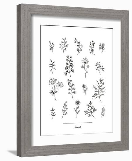 Herbarium Blomst-Lucy Francis-Framed Giclee Print