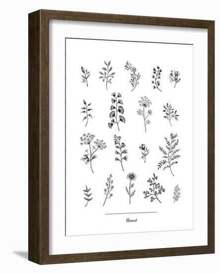 Herbarium Blomst-Lucy Francis-Framed Giclee Print