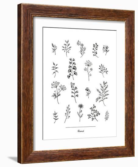 Herbarium Blomst-Lucy Francis-Framed Giclee Print