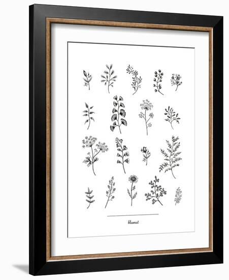 Herbarium Blomst-Lucy Francis-Framed Giclee Print