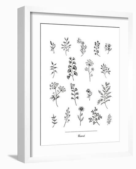 Herbarium Blomst-Lucy Francis-Framed Giclee Print