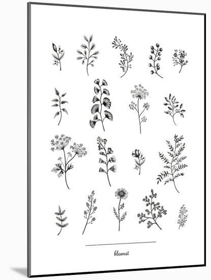 Herbarium Blomst-Lucy Francis-Mounted Giclee Print