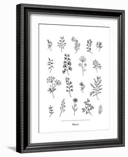 Herbarium Blomst-Lucy Francis-Framed Giclee Print