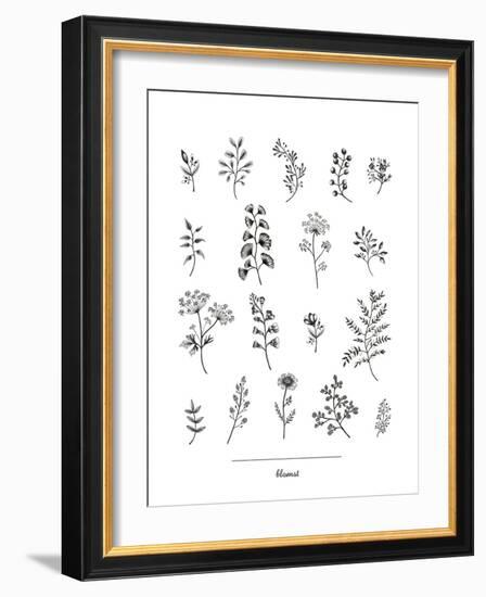 Herbarium Blomst-Lucy Francis-Framed Giclee Print