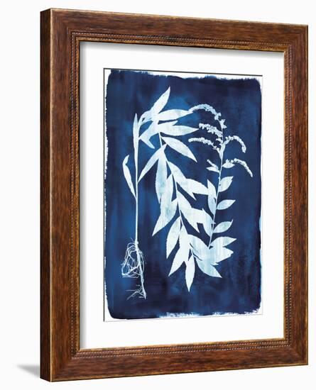 Herbarium - Epsilon-Tania Bello-Framed Giclee Print