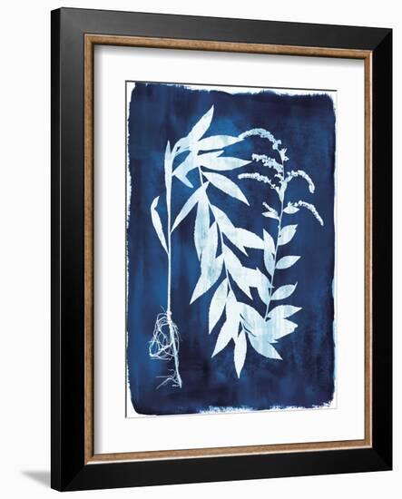 Herbarium - Epsilon-Tania Bello-Framed Giclee Print