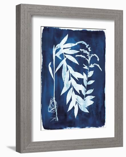 Herbarium - Epsilon-Tania Bello-Framed Giclee Print