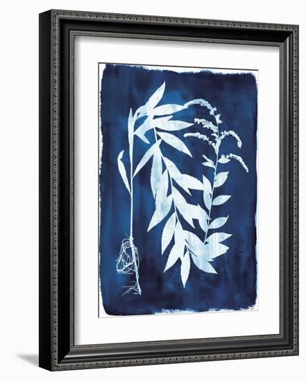 Herbarium - Epsilon-Tania Bello-Framed Giclee Print