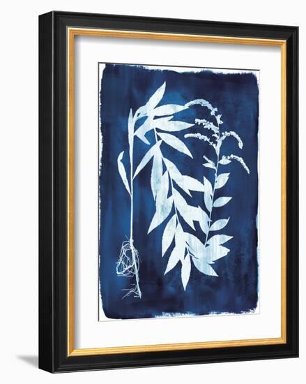 Herbarium - Epsilon-Tania Bello-Framed Giclee Print