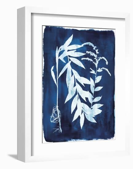 Herbarium - Epsilon-Tania Bello-Framed Giclee Print