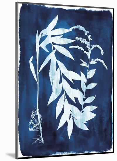 Herbarium - Epsilon-Tania Bello-Mounted Giclee Print