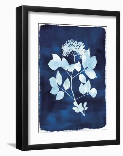 Herbarium - Gamma-Tania Bello-Framed Giclee Print