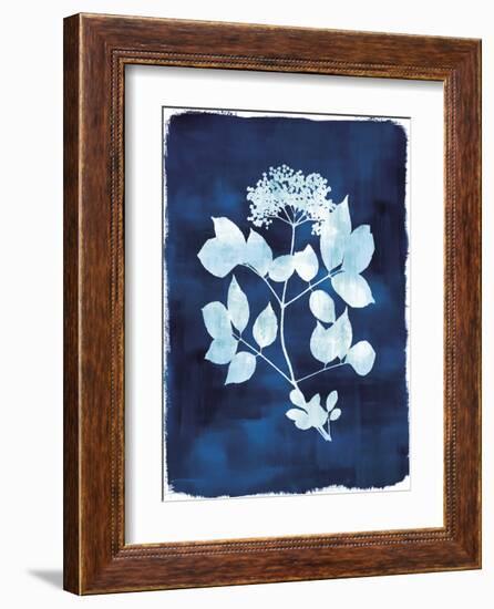 Herbarium - Gamma-Tania Bello-Framed Giclee Print