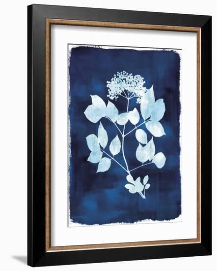 Herbarium - Gamma-Tania Bello-Framed Giclee Print