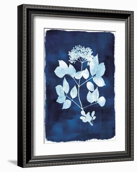 Herbarium - Gamma-Tania Bello-Framed Giclee Print