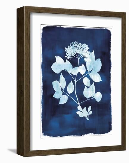 Herbarium - Gamma-Tania Bello-Framed Giclee Print