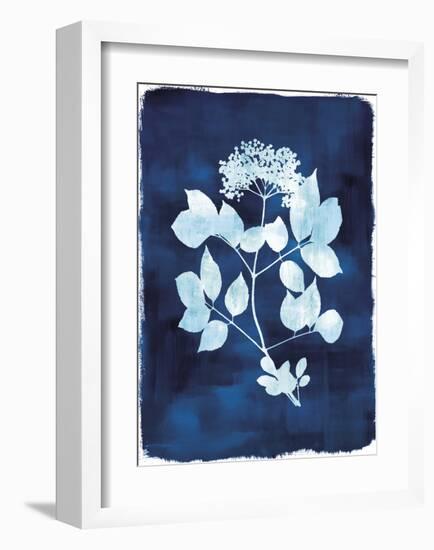 Herbarium - Gamma-Tania Bello-Framed Giclee Print