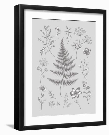 Herbarium Twilight-Lucy Francis-Framed Giclee Print