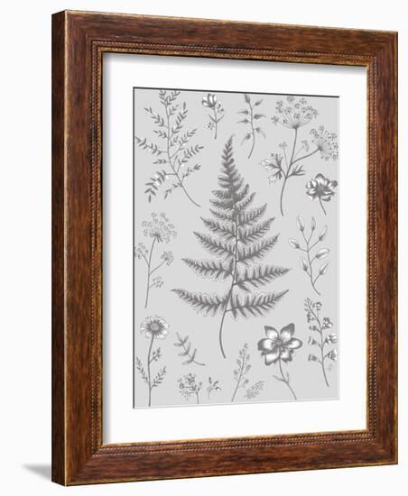 Herbarium Twilight-Lucy Francis-Framed Giclee Print