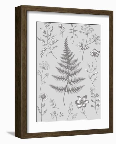 Herbarium Twilight-Lucy Francis-Framed Giclee Print