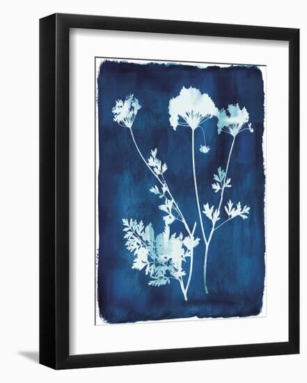 Herbarium - Zeta-Tania Bello-Framed Giclee Print