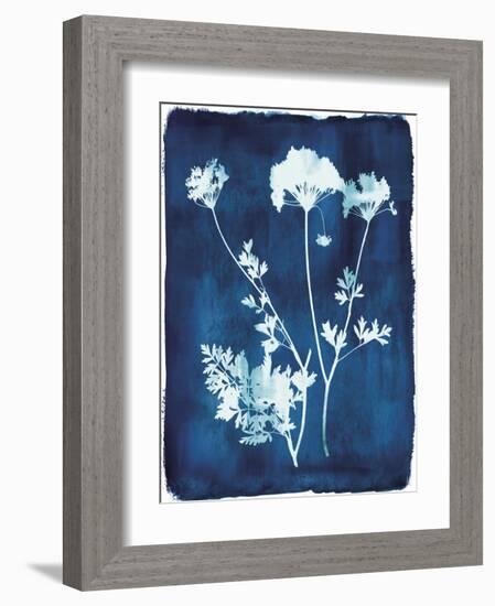 Herbarium - Zeta-Tania Bello-Framed Giclee Print