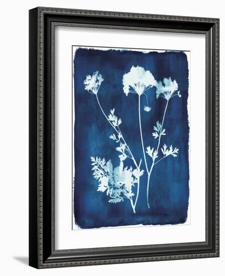 Herbarium - Zeta-Tania Bello-Framed Giclee Print