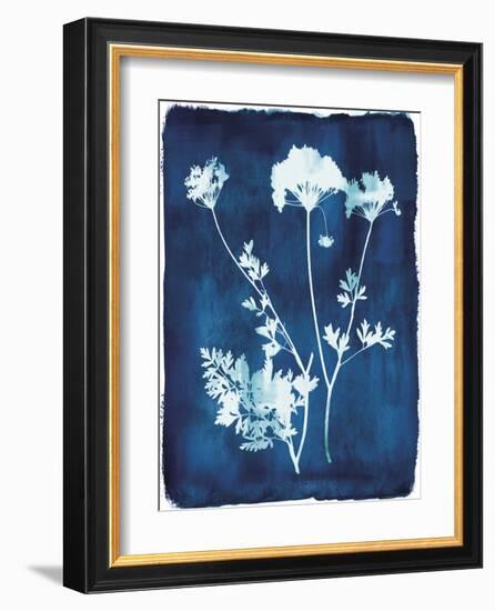 Herbarium - Zeta-Tania Bello-Framed Giclee Print