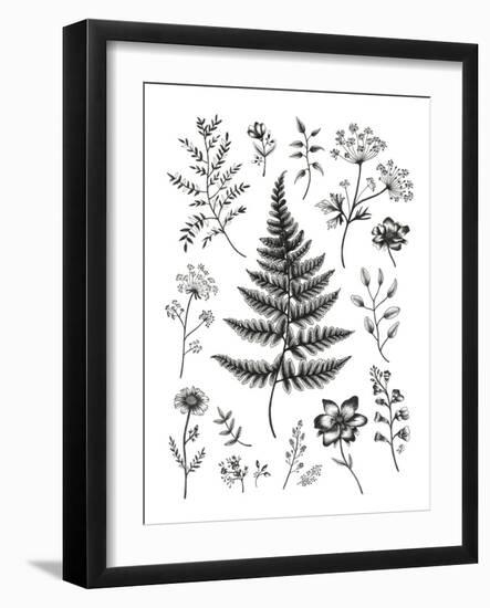 Herbarium-Lucy Francis-Framed Giclee Print