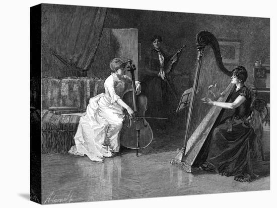 Stretched Canvas Print, , large