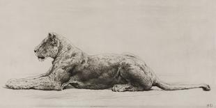 A Lioness-Herbert Dicksee-Art Print