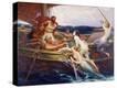 Stretched Canvas Print