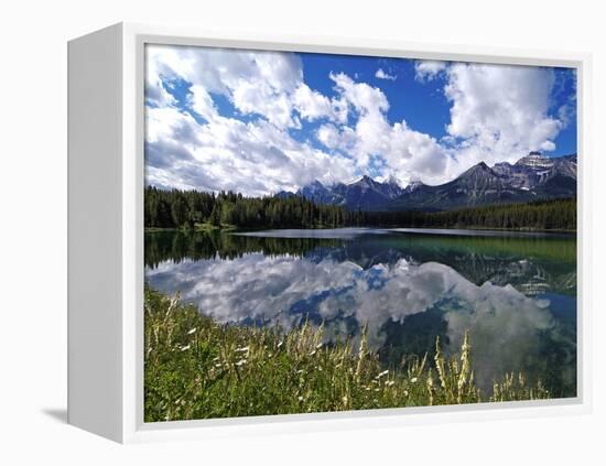 Herbert Lake and Bow Range, Banff National Park, UNESCO World Heritage Site, Alberta, Rocky Mountai-Hans Peter Merten-Framed Premier Image Canvas