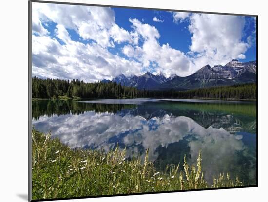 Herbert Lake and Bow Range, Banff National Park, UNESCO World Heritage Site, Alberta, Rocky Mountai-Hans Peter Merten-Mounted Photographic Print