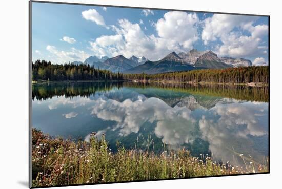 Herbert Lake-Larry Malvin-Mounted Photographic Print