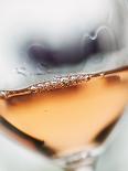 Ripe White Wine Grapes on Vine (Grüner Veltliner, Lower Austria)-Herbert Lehmann-Framed Photographic Print