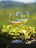 Two Glasses of White Wine Against the Friaul Landscape of Italy-Herbert Lehmann-Photographic Print