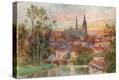 Stretched Canvas Print