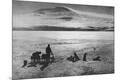 Photographic Print