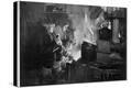 Stretched Canvas Print