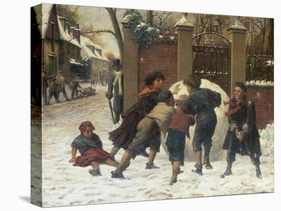Stretched Canvas Print, , large