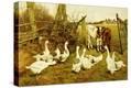 Stretched Canvas Print