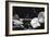 Herbie Hancock, Capital Jazz, Royal Festival Hall, London, 1986-Brian O'Connor-Framed Photographic Print