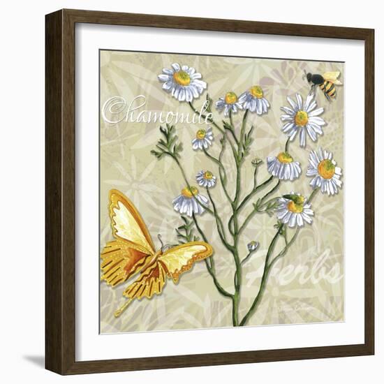 Herbs 3 Chamomile-Megan Aroon Duncanson-Framed Giclee Print