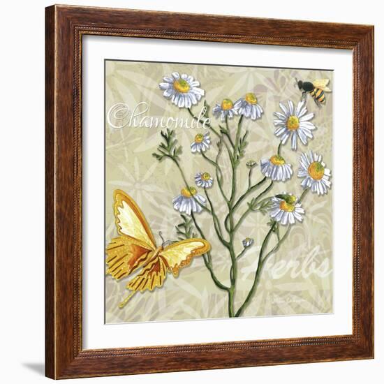 Herbs 3 Chamomile-Megan Aroon Duncanson-Framed Giclee Print