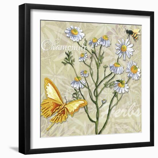 Herbs 3 Chamomile-Megan Aroon Duncanson-Framed Giclee Print