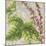 Herbs 4 Basil-Megan Aroon Duncanson-Mounted Giclee Print