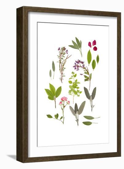 Herbs and Flowers of Summer-marilyna-Framed Art Print