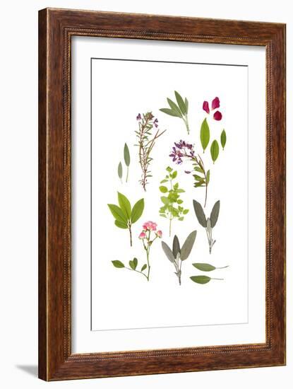 Herbs and Flowers of Summer-marilyna-Framed Art Print