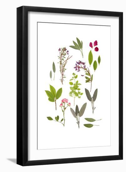 Herbs and Flowers of Summer-marilyna-Framed Art Print